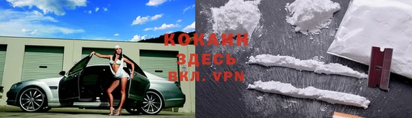 прущий лед Костерёво