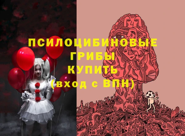 гидропоника Корсаков