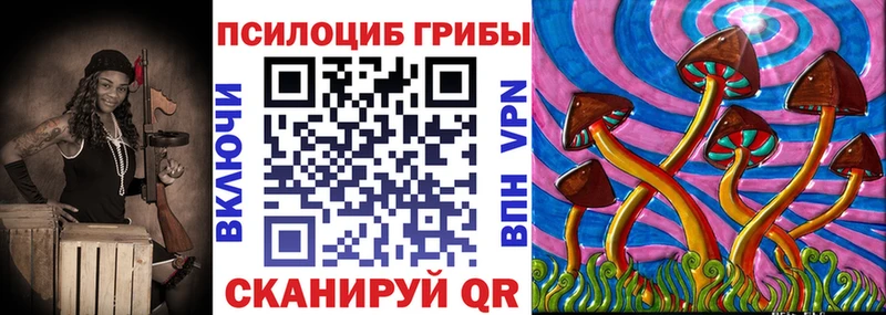 магазин продажи   Красновишерск  Галлюциногенные грибы Cubensis 